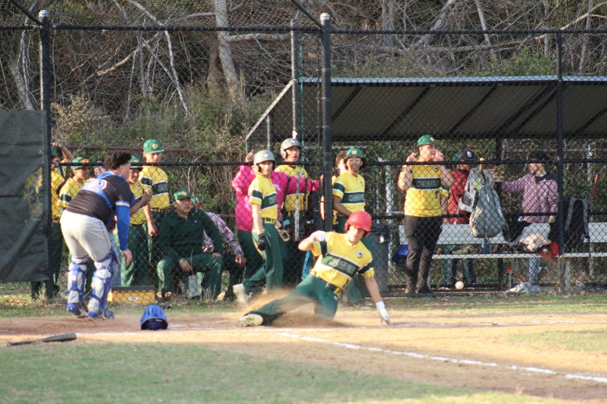 WHS baseball 2025