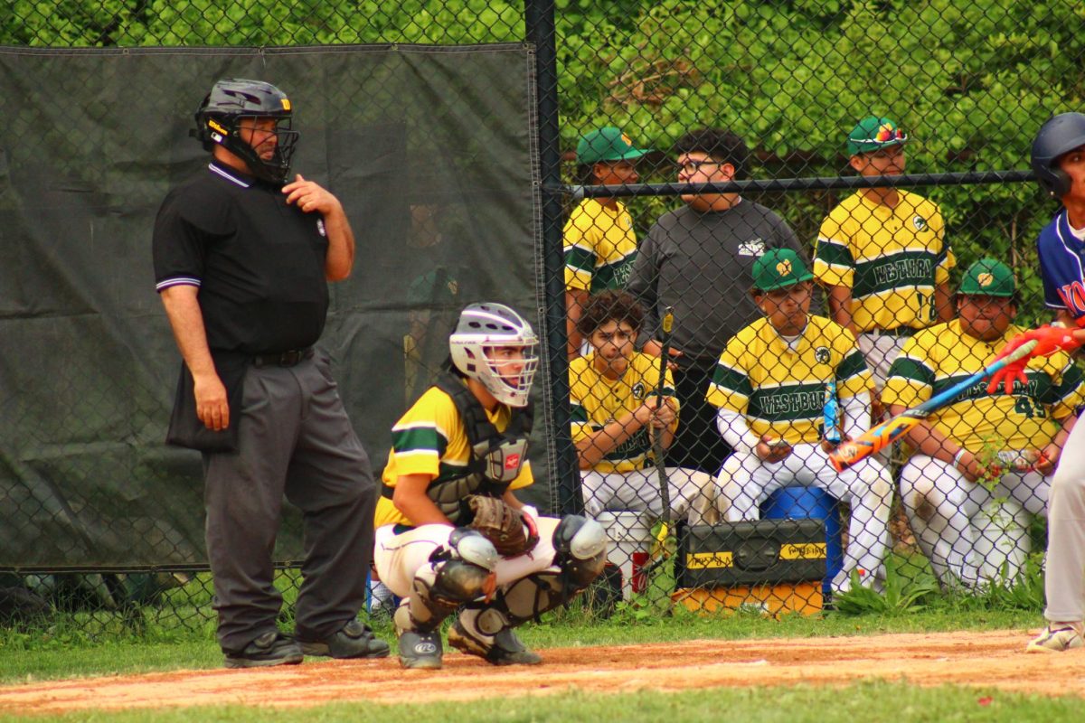 WHS Varsity Baseball vs Great Neck North (Senior Night)