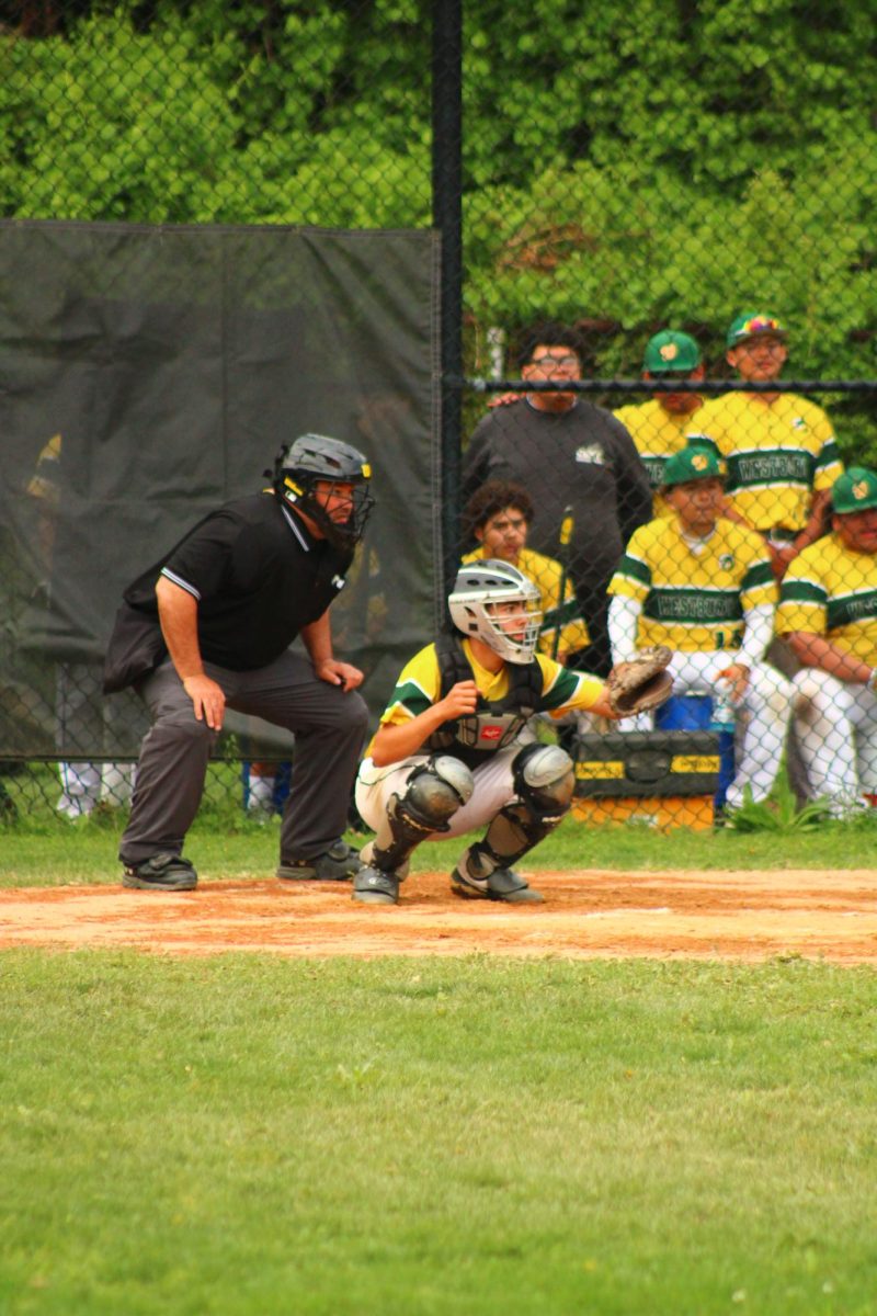 WHS Varsity Baseball vs Great Neck North (Senior Night)