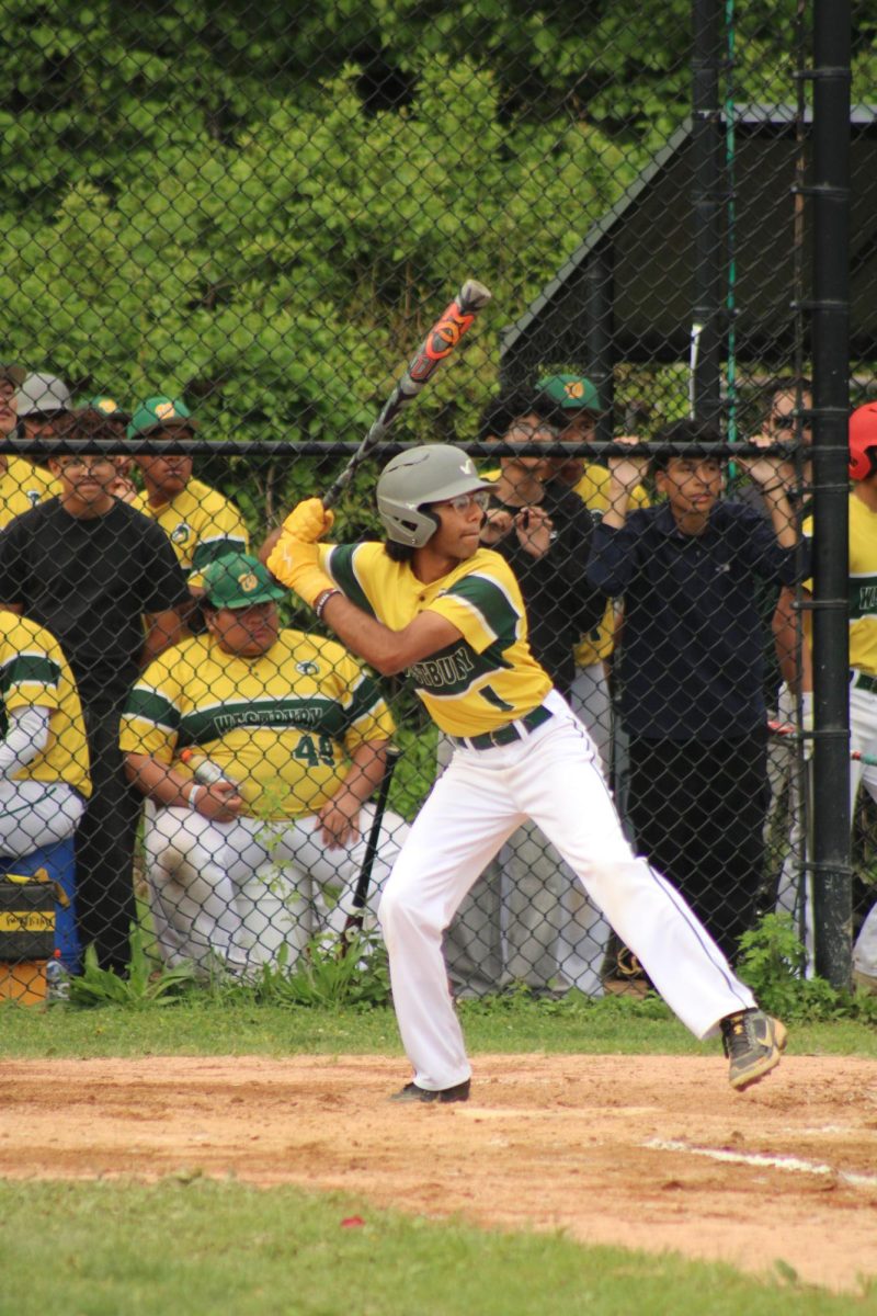 WHS Varsity Baseball vs Great Neck North (Senior Night)