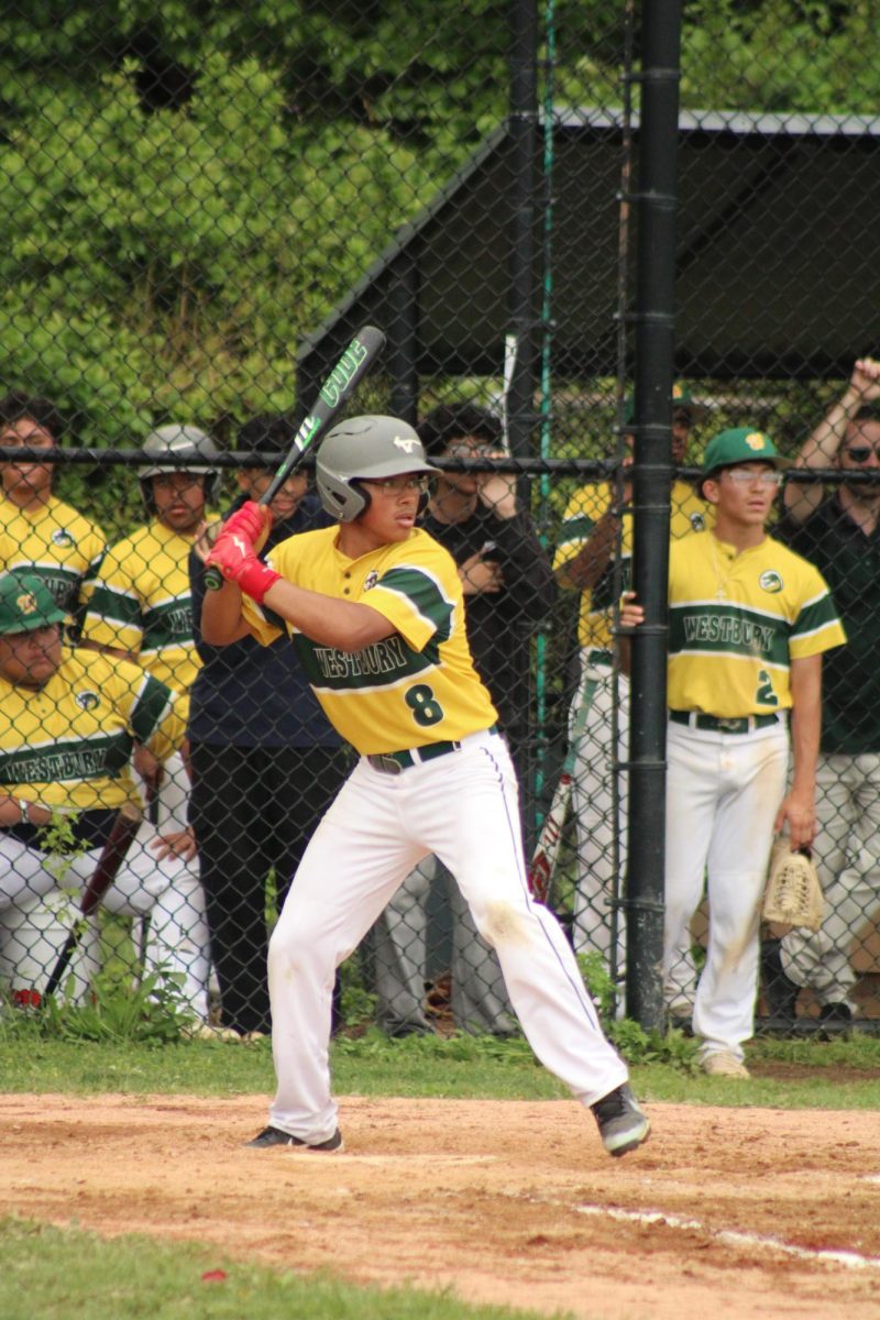 WHS Varsity Baseball vs Great Neck North (Senior Night)