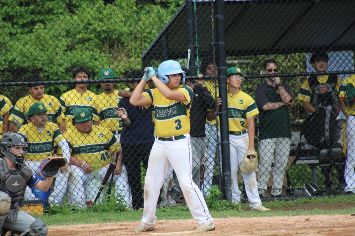 WHS Varsity Baseball vs Great Neck North (Senior Night)