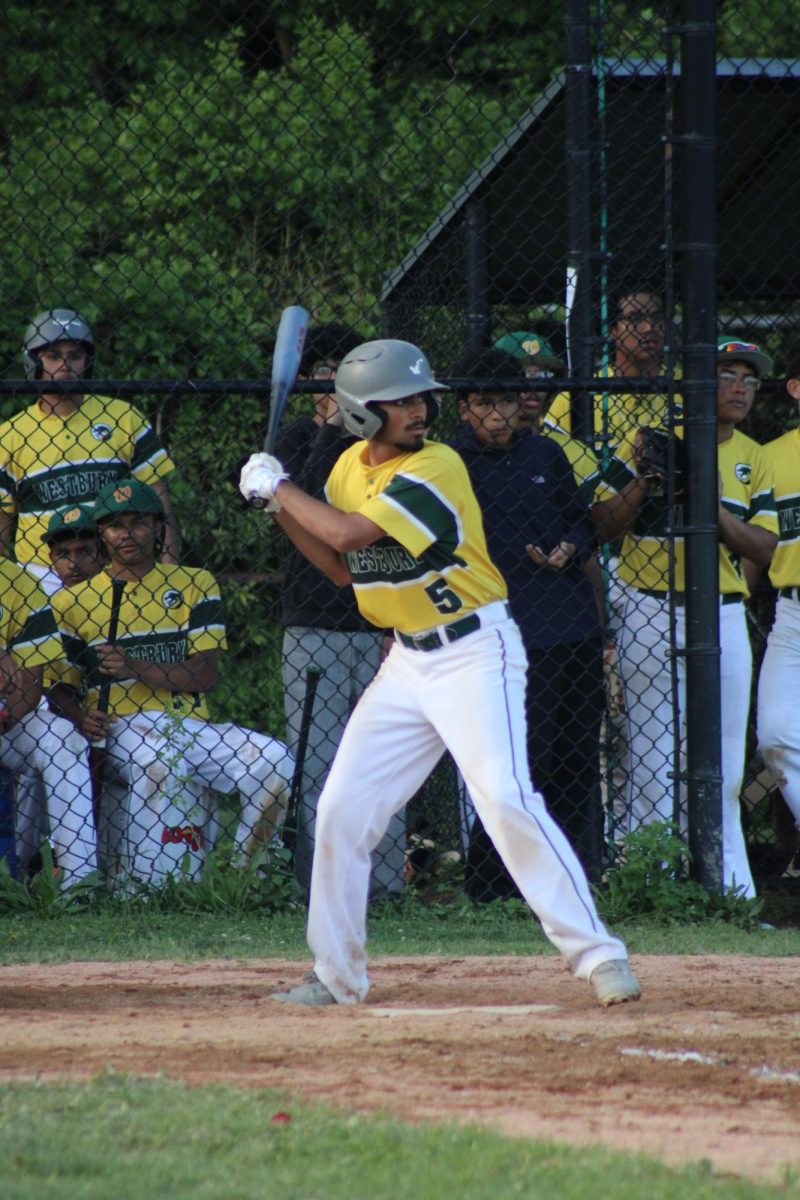 WHS Varsity Baseball vs Great Neck North (Senior Night)