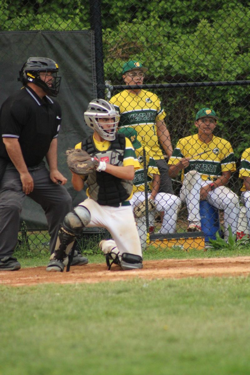 WHS Varsity Baseball vs Great Neck North (Senior Night)
