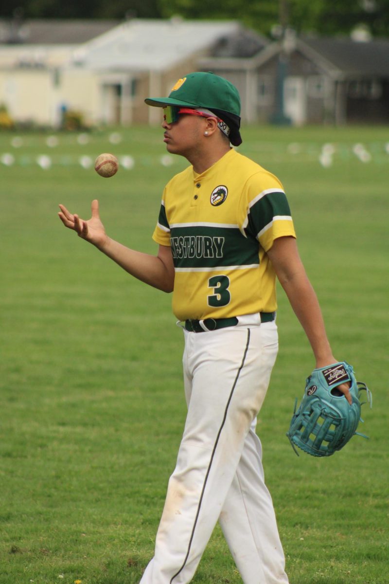 WHS Varsity Baseball vs Great Neck North (Senior Night)