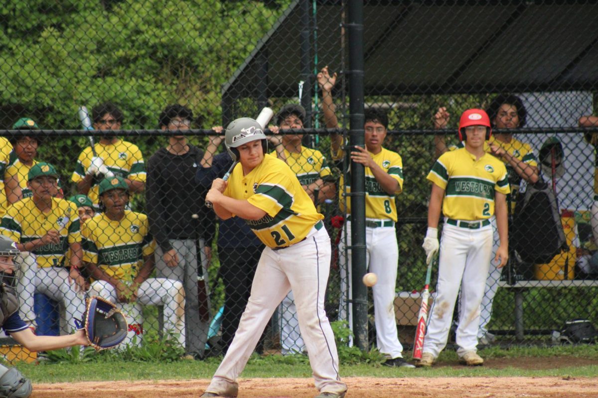 WHS Varsity Baseball vs Great Neck North (Senior Night)