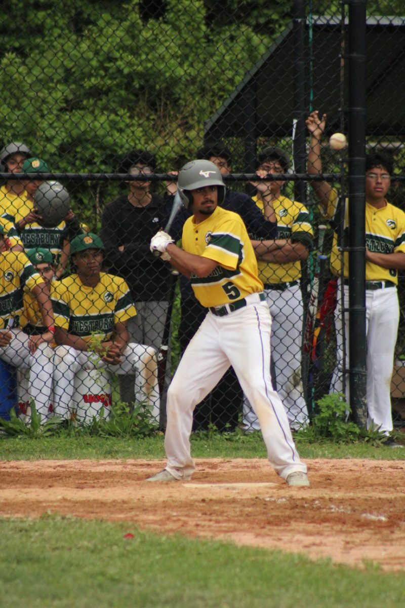 WHS Varsity Baseball vs Great Neck North (Senior Night)