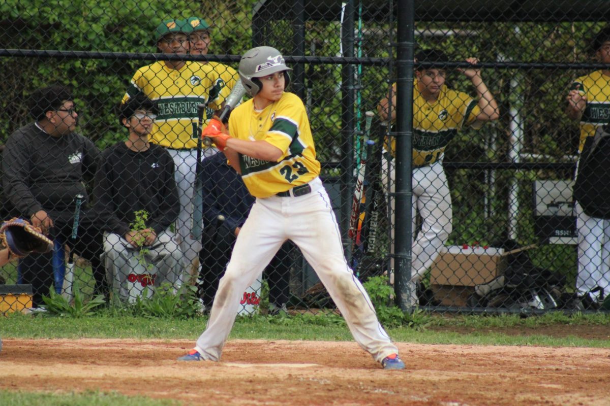 WHS Varsity Baseball vs Great Neck North (Senior Night)